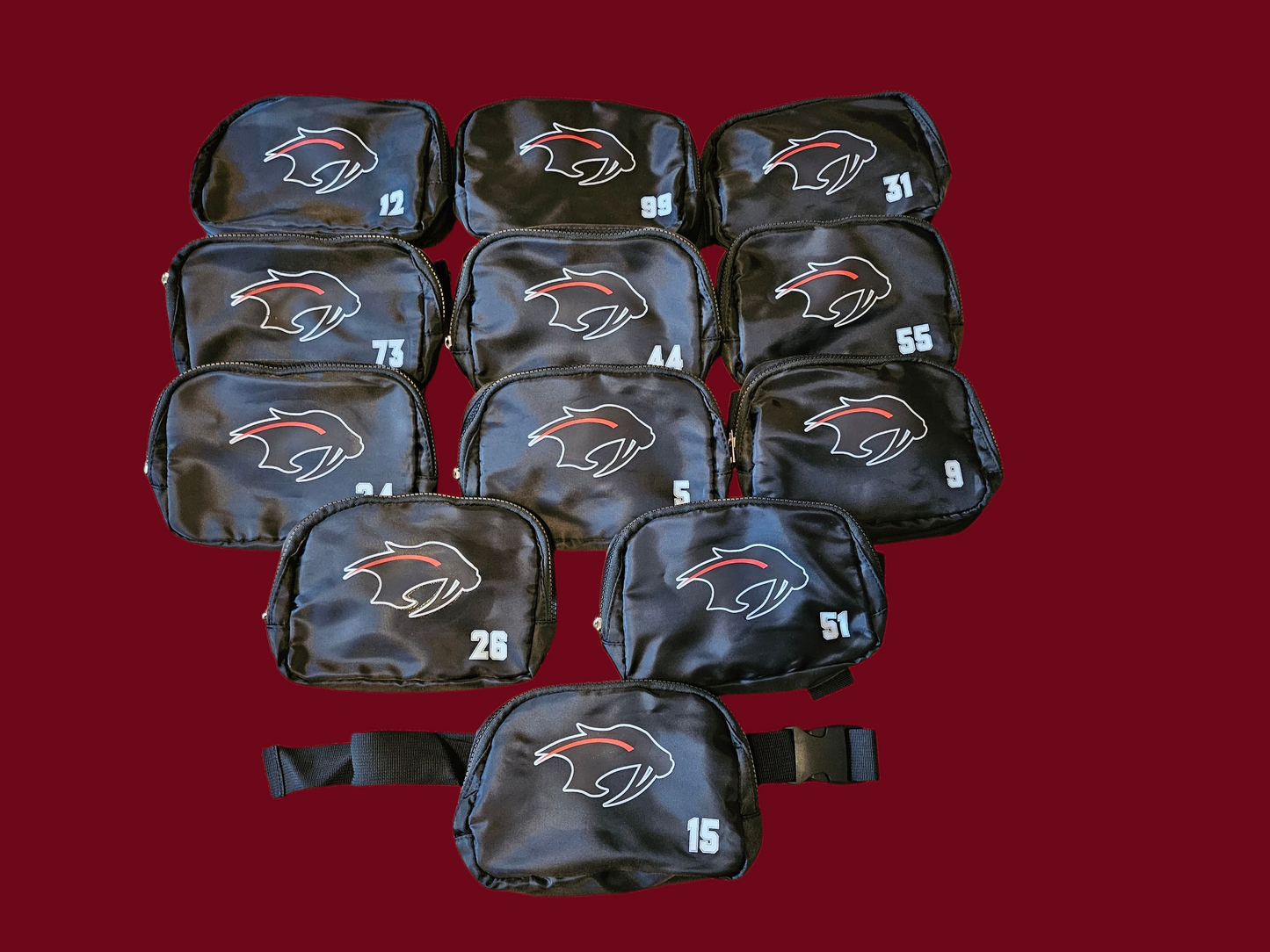 Customizable Cross body - fanny pack - Anywhere bag - NAMES, LOGOS - MORE!