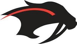 Shakopee Fundraisers