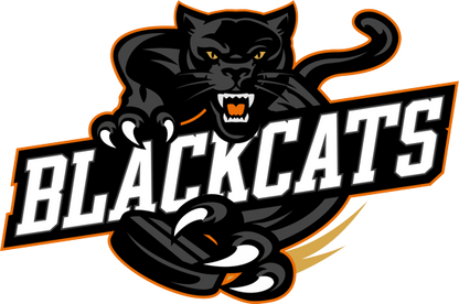 BALDWIN FUNDRAISER - Personalized Hockey Blanket