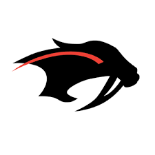 SHAKOPEE SABER  FUNDRAISER - Personalized Hockey Blanket