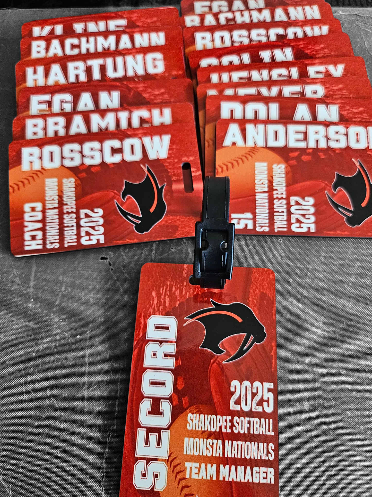 Customized bag tags